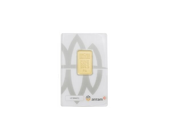 7038093 - REINVENTED H70329232 [99.99% - 5gr]