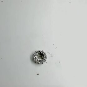 8059270 - LT AUVA OUROBOROS [P] [16K - 0.95gr]