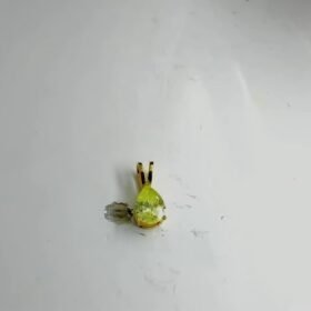 8062802 - LM MODEL MATA HIJAU AUVA [8K - 0.9gr]