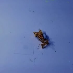 7138496 - WM MODEL KLIP MPPITA [8K - 1.84gr]