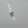 9183423 - WT TSK AUVA DESY-1 ULIR MATA PUTIH [16K - 0.65gr]