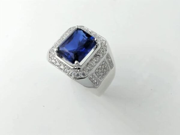 9184776 - CT LAKI MATA PUTIH BIRU [P]R.22 [17K - 13.73gr]