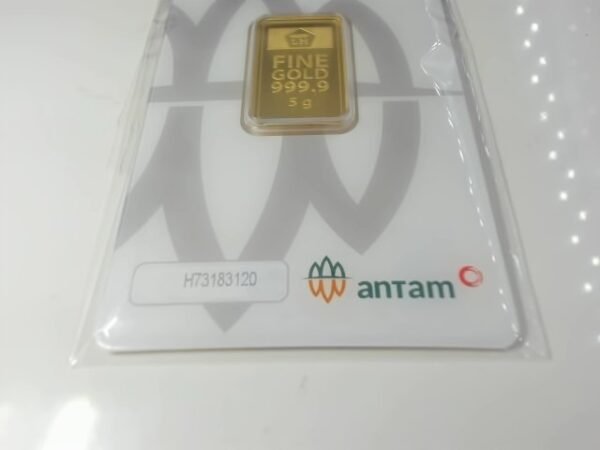 8084007 - REINVENTED H73183120 [24K - 5gr]