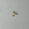 7168554 - WT MODEL TUSUK+ULIR DESY MP [16K - 0.36gr]