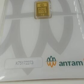 8086620 - REINVENTED K75172273 [24K - 1gr]