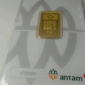 8087335 - REINVENTED H75358891 [24K - 5gr]