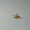 9200609 - WM MODEL TUSUK+ULIR MP [7K - 0.62gr]