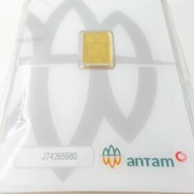 9201555 - LM ANTAM REINVENTED J74265980 [24K - 2gr]