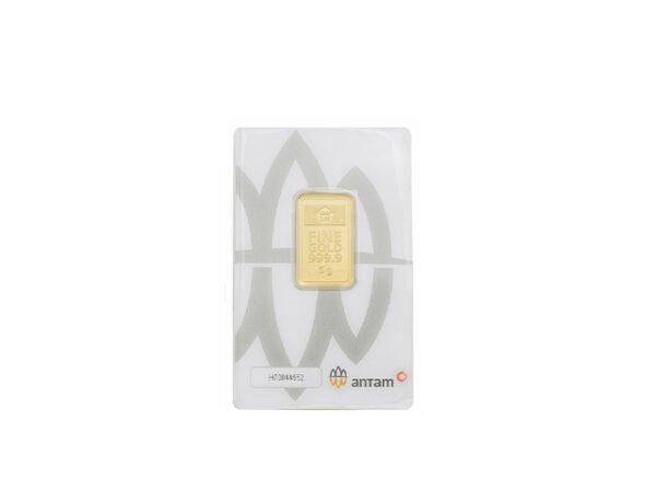 8087593 - REINVENTED H75427789 [24K - 5gr]