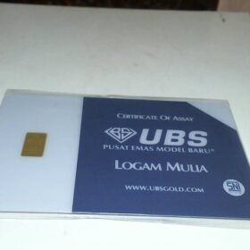 7168963 - LM UBS FK45794 [24K - 0.5gr]