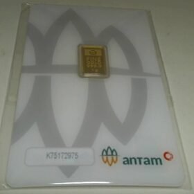 7169038 - LM LM REINVENTED K75172975 [24K - 1gr]
