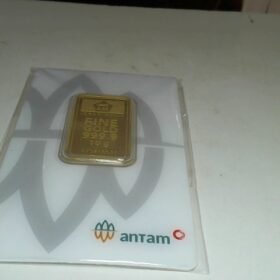 7169139 - LM REINVENTED G75416537 [24K - 10gr]