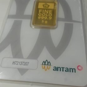 8087441 - REINVENTED H72137207 [24K - 5gr]