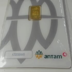 8087535 - REINVENTED K70089449 [24K - 1gr]