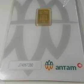 8087546 - REINVENTED J74067280 [24K - 2gr]