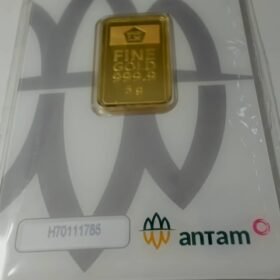 8087551 - REINVENTED H70111785 [24K - 5gr]