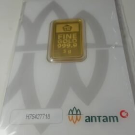 8087591 - REINVENTED H75427718 [24K - 5gr]