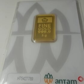 8087593 - REINVENTED H75427789 [24K - 5gr]