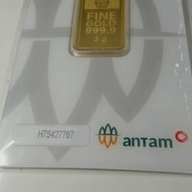 8087595 - REINVENTED H75427767 [24K - 5gr]