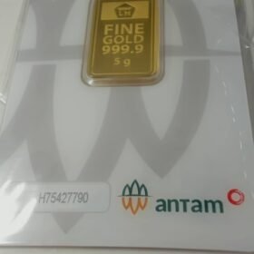 8087597 - REINVENTED H75427790 [24K - 5gr]