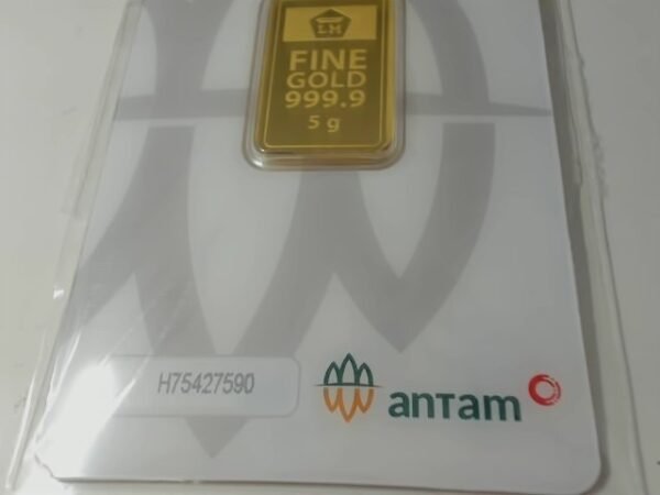 8087598 - REINVENTED H75427590 [24K - 5gr]