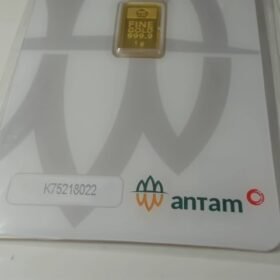 8087626 - REINVENTED K75218022 [24K - 1gr]