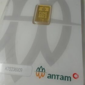 8087629 - REINVENTED K75236909 [24K - 1gr]