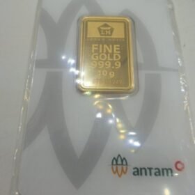 9202338 - LM ANTAM REINVENTED G75411249 [24K - 10gr]