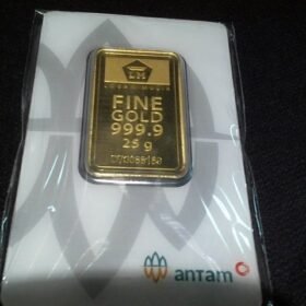 9202463 - LM ANTAM REINVENTED D73088189 [24K - 25gr]