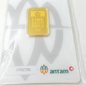 9202472 - LM ANTAM REINVENTED H75427593 [24K - 5gr]