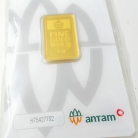 9202475 - LM ANTAM REINVENTED H75427792 [24K - 5gr]