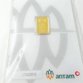 9202487 - LM ANTAM REINVENTED J74330510 [24K - 2gr]