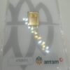 9202502 - LM ANTAM REINVENTED K75291011 [24K - 1gr]