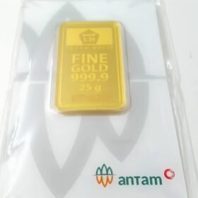 9202537 - LM ANTAM REINVENTED D75124799 [24K - 25gr]