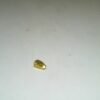 7171881 - LM LOKAL POTONGAN [24K - 2.44gr]