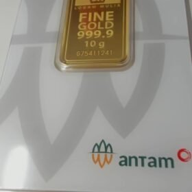 8088003 - REINVENTED G75411241 [24K - 10gr]