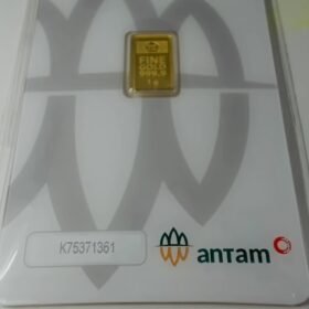 8088682 - REINVENTED K75371361 [24K - 1gr]