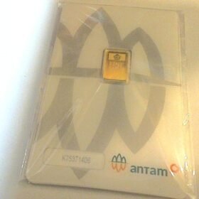 8088762 - REINVENTED K75371406 [24K - 1gr]