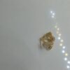 9204699 - WM KLIP MATA PUTIH [8K - 1.57gr]