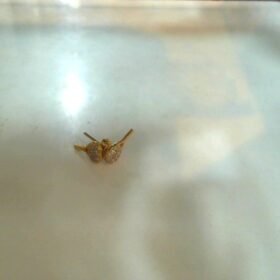 7174635 - WM TUSUK MODEL PADEL - 2 [8K - 1.07gr]