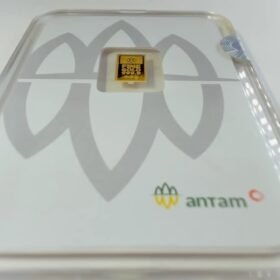 8091640 - REINVENTED G01JTF5 [24K - 0.5gr]