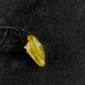 8099104 - LM LOKAL POT KW 1 [24K - 1.04gr]