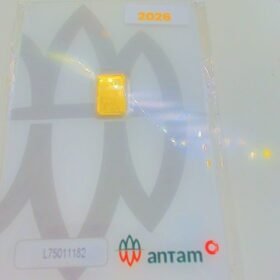 9217991 - LM CERTIEYE [2026] L75011182 [24K - 0.5gr]