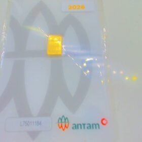 9217993 - LM CERTIEYE [2026] L75011184 [24K - 0.5gr]