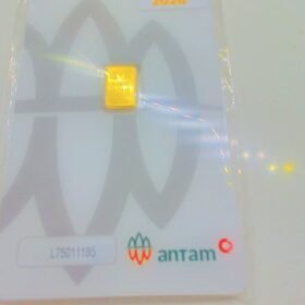 9217994 - LM CERTIEYE [2026] L75011185 [24K - 0.5gr]