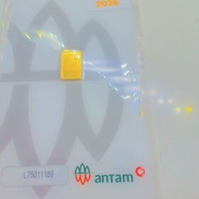 9217998 - LM CERTIEYE [2026] L75011189 [24K - 0.5gr]