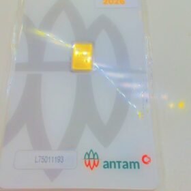 9218001 - LM CERTIEYE [2026] L75011193 [24K - 0.5gr]