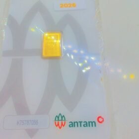 9218004 - LM CERTIEYE [2026] K75787056 [24K - 1gr]