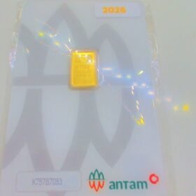 9218006 - LM CERTIEYE [2026] K75787053 [24K - 1gr]