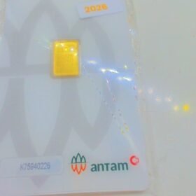 9218009 - LM CERTIEYE [2026] K75940226 [24K - 1gr]